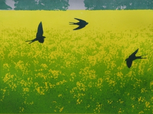 a flight of swallows