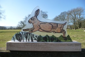 hare
