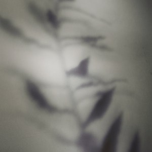 20150914_075231000_iOS 1-1