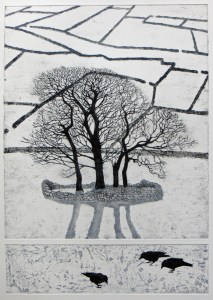 Hester Cox Enclosures