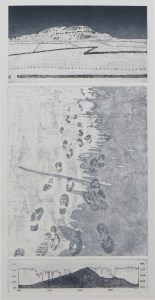 Hester Cox Tracks and Traces