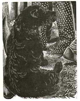 286394_anything-could-happen