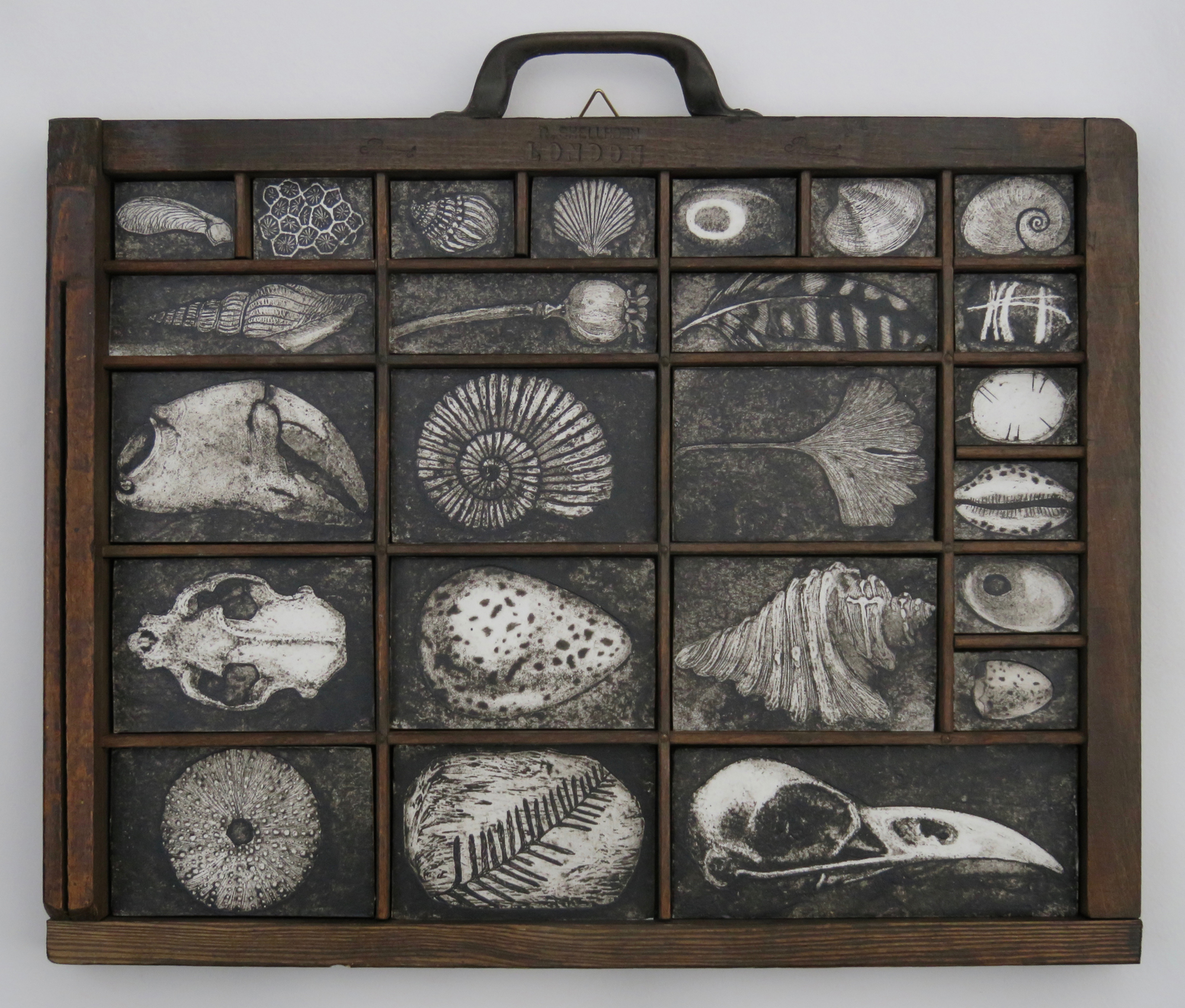 cox-h-the-collection