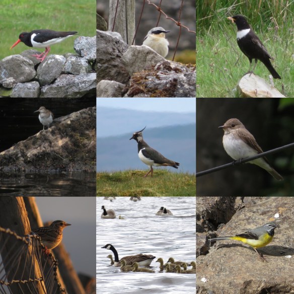 F396076C-C808-4547-B57F-02FC973BE8C4