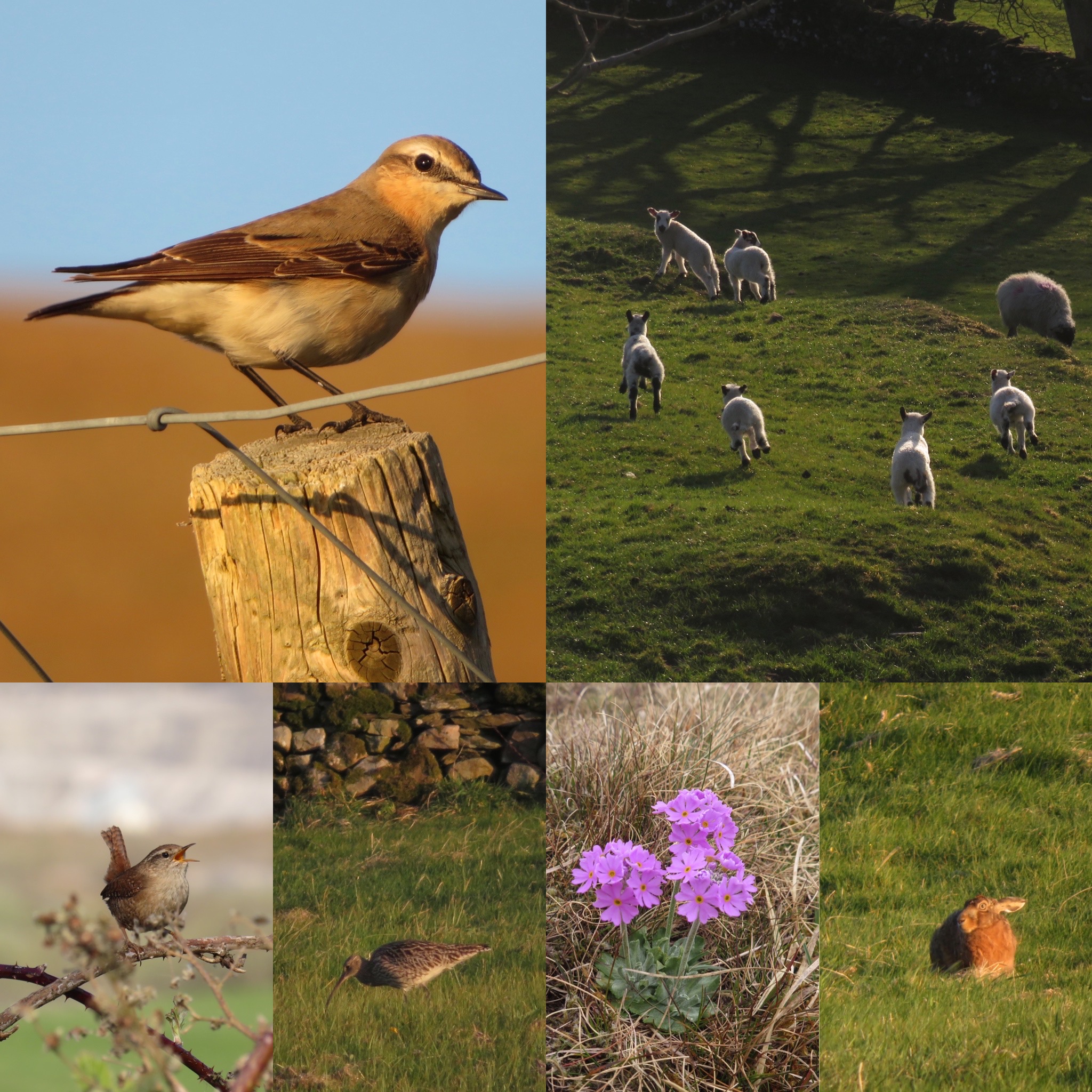 5C39890B-3668-4D60-9ECC-39E3A550C0A6