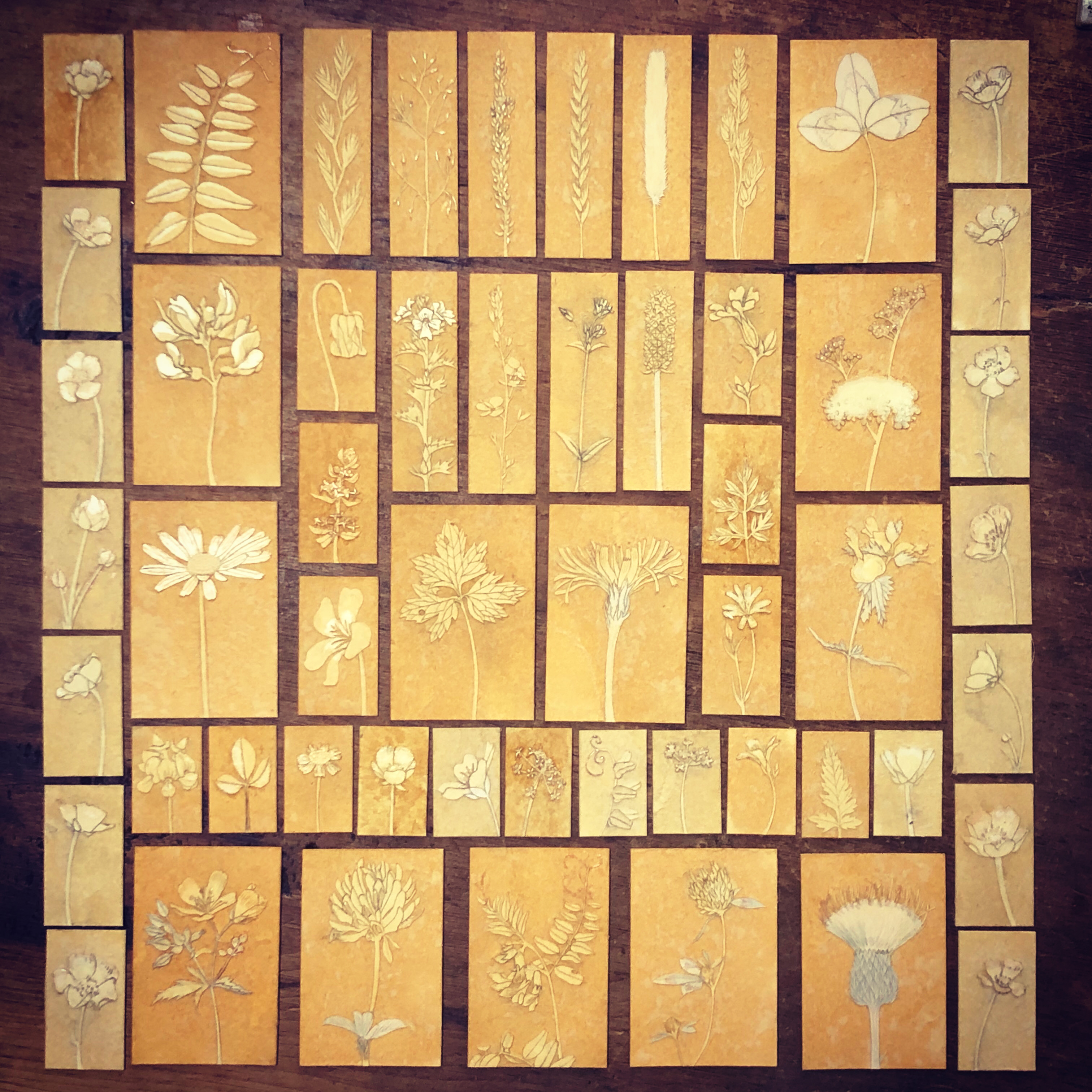 87F960B3-101F-4DF6-A101-D655E9D7B6DC